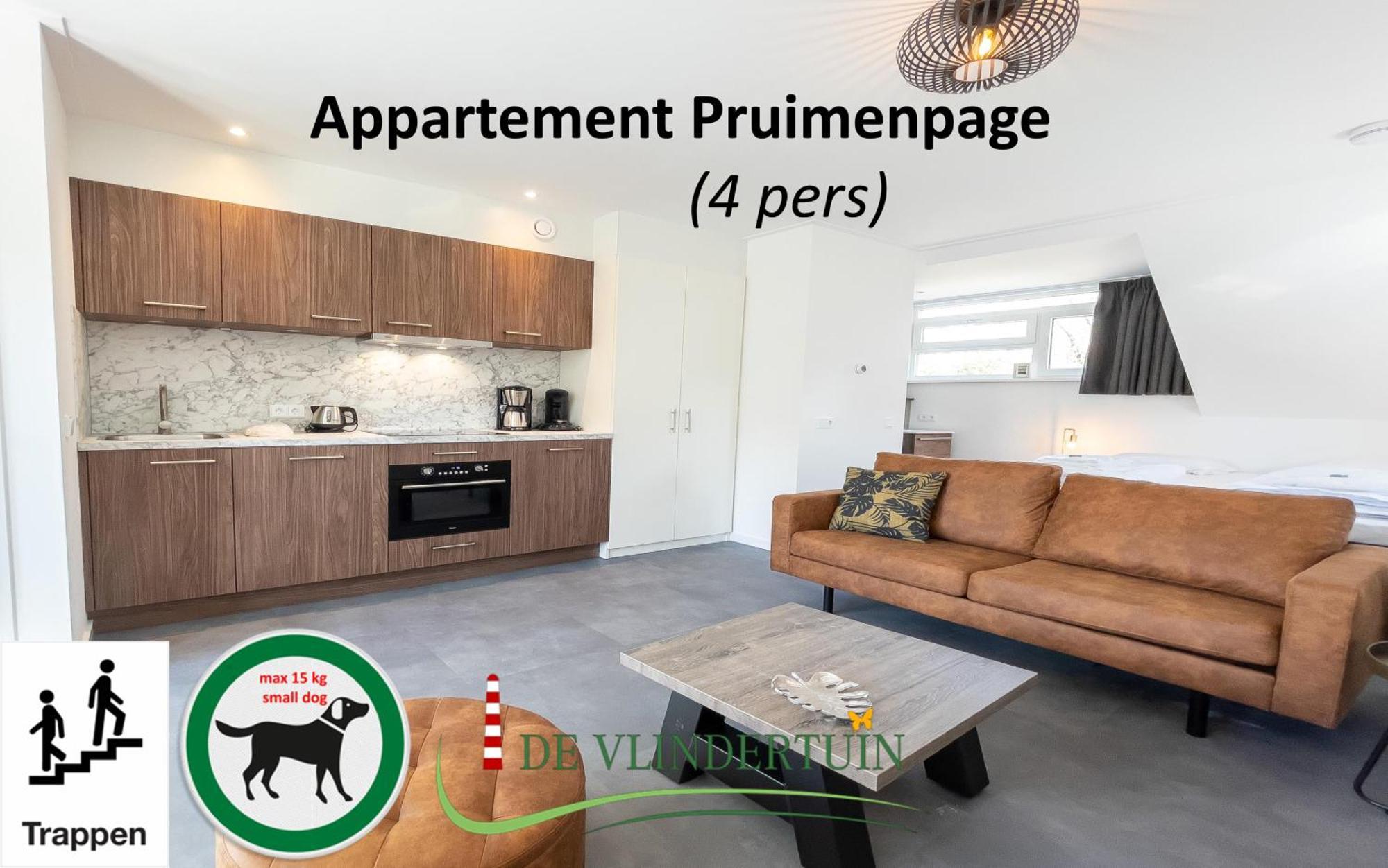 Appartement De Vlindertuin Nes (Ameland, Friesland)